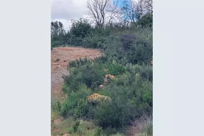 16351 6th, Clearlake, CA 95422 - Photo 2