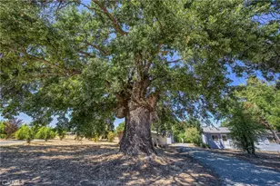 1980 Big Valley Rd, Lakeport, CA 95453 - Photo 30