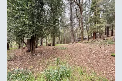 15905 Rainbow Drive, Cobb, CA 95426 - Photo 4