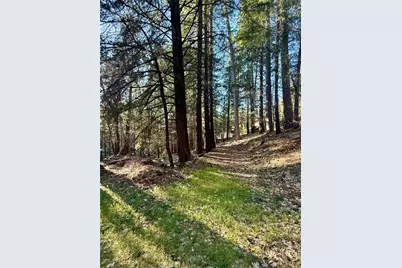 15905 Rainbow Drive, Cobb, CA 95426 - Photo 8