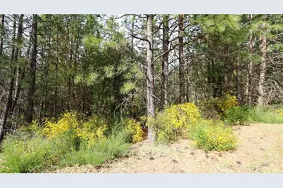 9072 Fox Drive, Cobb, CA 95426 - Photo 1