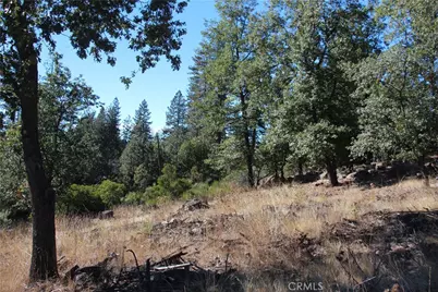 9072 Fox Drive, Cobb, CA 95426 - Photo 4
