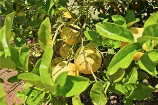 17860 Deer Hill, Hidden Valley Lake, CA 95467 - Photo 28