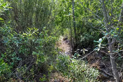 1 Lot 1 Butts Canyon Road, Pope Valley, CA 94567 - Photo 20