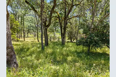 8239 Little Borax Lake Rd, Kelseyville, CA 95451 - Photo 12