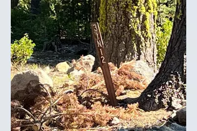 0 Logging Road, Viola, CA 96088 - Photo 6