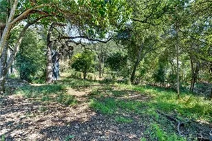 7006 E Hwy 20, Lucerne, CA 95458 - Photo 40