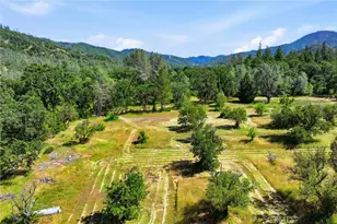 22550 Shady Grove Rd, Middletown, CA 95461 - Photo 54