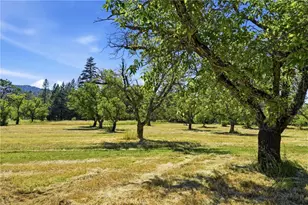 22550 Shady Grove Rd, Middletown, CA 95461 - Photo 50