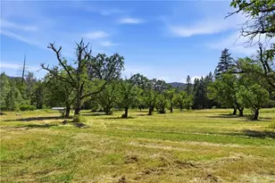22550 Shady Grove Rd, Middletown, CA 95461 - Photo 4