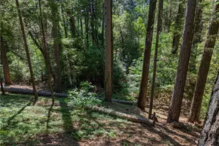 17301 Dogwood Way, Middletown, CA 95461 - Photo 56