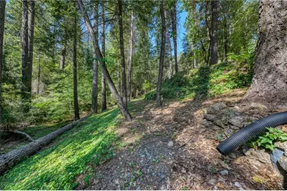 17301 Dogwood Way, Middletown, CA 95461 - Photo 66