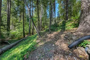 17301 Dogwood Way, Middletown, CA 95461 - Photo 66