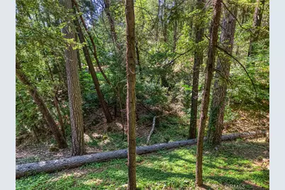 17301 Dogwood Way, Middletown, CA 95461 - Photo 54
