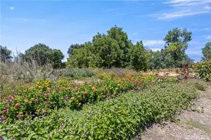 4550 Soda Bay, Kelseyville, CA 95451 - Photo 52