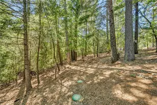 16635 Mountain View Dr, Cobb, CA 95426 - Photo 26