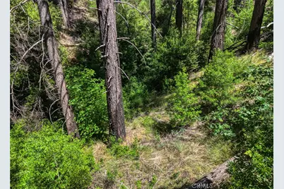 16121 Golf, Cobb, CA 95426 - Photo 22