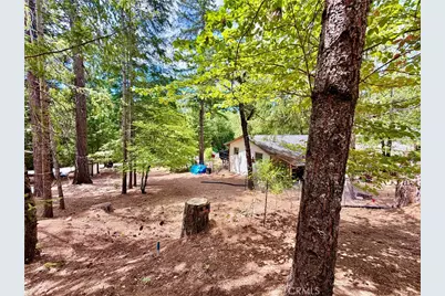 11783 Western Pine Road, Loch Lomond, CA 95461 - Photo 34