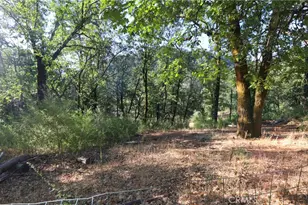 15305 Western Mine Rd, Middletown, CA 95461 - Photo 26