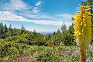24680 Ten Mile Rd, Point Arena, CA 95468 - Photo 6