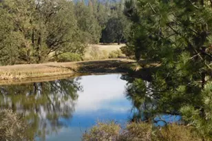 13095 Bottle Rock, Cobb, CA 95426 - Photo 26