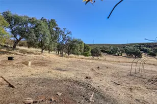 16010 Davis Ave, Clearlake, CA 95422 - Photo 20