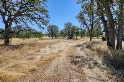 16010 Davis Ave, Clearlake, CA 95422 - Photo 12