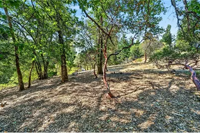 1755 Lupine, Willits, CA 95490 - Photo 34