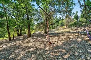 1755 Lupine, Willits, CA 95490 - Photo 34
