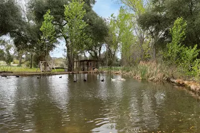 29972 Chihuahua Valley Road, Warner Springs, CA 92086 - Photo 18