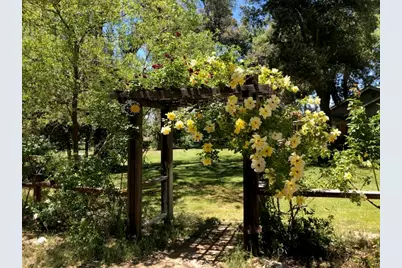 29972 Chihuahua Valley Road, Warner Springs, CA 92086 - Photo 4