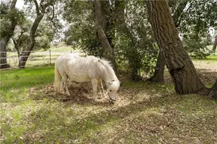 29972 Chihuahua Valley Rd, Warner Springs, CA 92086 - Photo 16