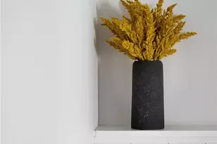 1659 W Knapp, Vista, CA 92083 - Photo 58