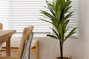 1659 W Knapp, Vista, CA 92083 - Photo 50