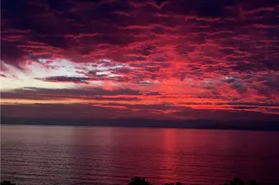 21702 Ocean Vista Dr, Laguna Beach, CA 92651 - Photo 28