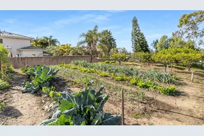 30662 Hilltop Way, San Juan Capistrano, CA 92675 - Photo 64