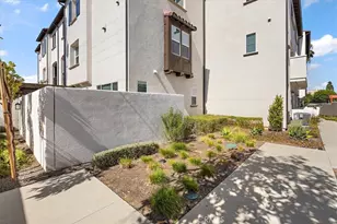 3667 Elm Ave, Long Beach, CA 90807 - Photo 28