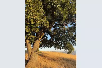 27251 Deertrail, Tehachapi, CA 93561 - Photo 12