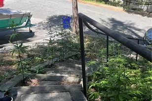 24327 24327 Montreaux, Crestline, CA 92325 - Photo 34