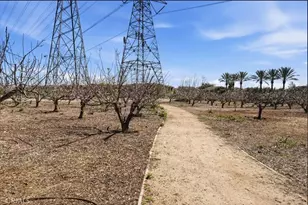 8443 Ranger, Chino, CA 91708 - Photo 16