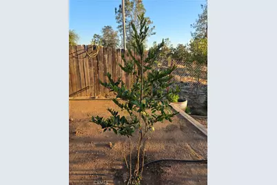 4760 Hirsch #B, Mariposa, CA 95338 - Photo 52