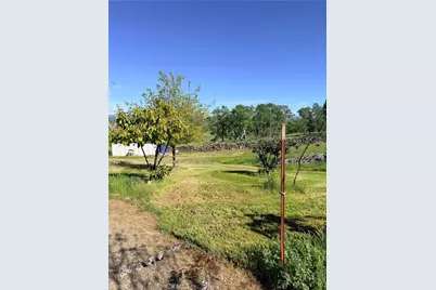 9556 Banderilla, La Grange, CA 95329 - Photo 60