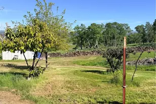 9556 Banderilla, La Grange, CA 95329 - Photo 60