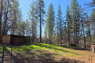 1151 Gorley Ln, Mokelumne Hill, CA 95245 - Photo 8