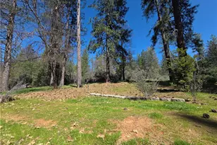 1151 Gorley Ln, Mokelumne Hill, CA 95245 - Photo 44