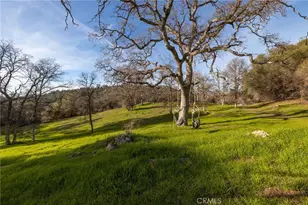 33940 Jennifer Way, Coarsegold, CA 93614 - Photo 48