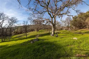 33940 Jennifer Way, Coarsegold, CA 93614 - Photo 48