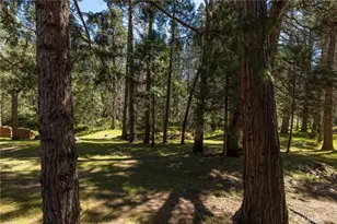 36333 Finegold Creek, North Fork, CA 93643 - Photo 48