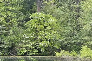 5657 Worman Rd, Ahwahnee, CA 93601 - Photo 46