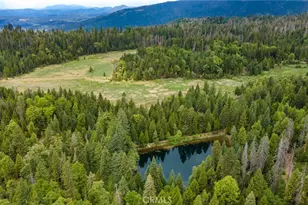 5657 Worman Rd, Ahwahnee, CA 93601 - Photo 8